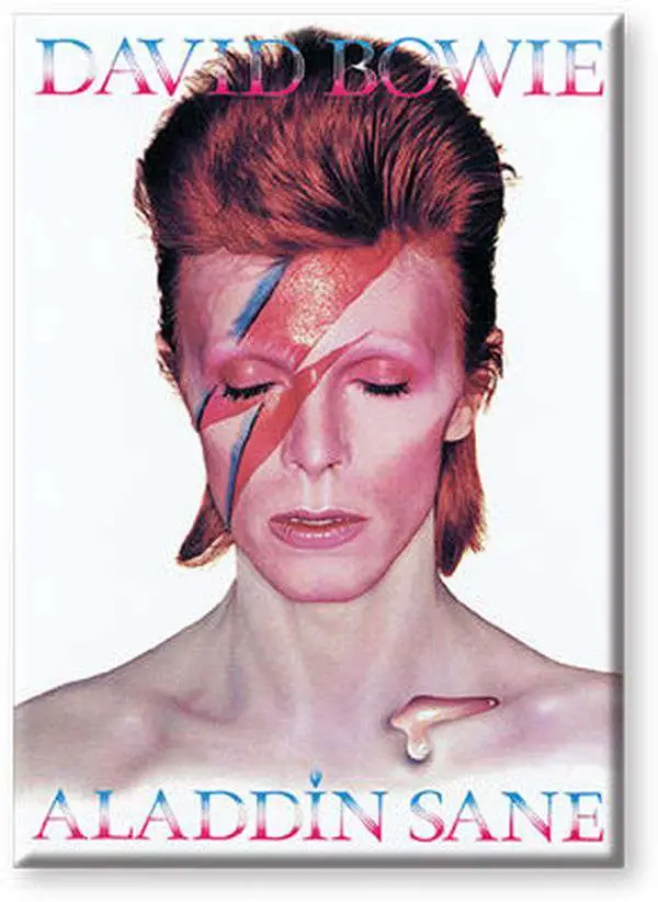 Bowie Aladdin Sane Flat Magnet - Figurine